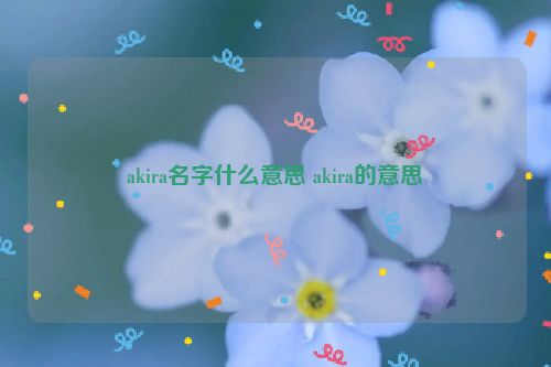 akira名字什么意思 akira的意思